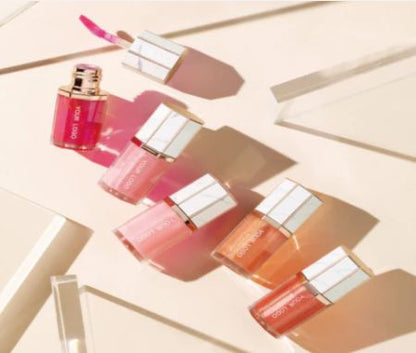 5 Shade Glossy Glaze - MQO 12 pcs