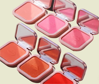 Let's Get Cheeky 6 Shade Blush
