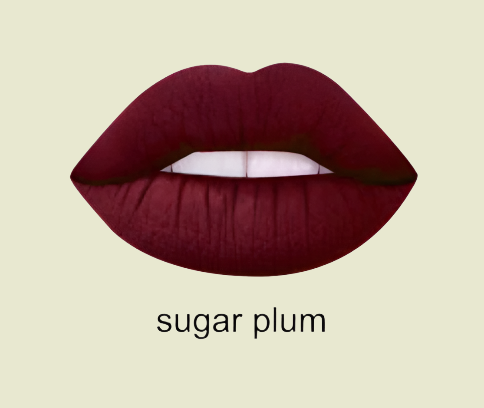Two Tone Pink Case 3 Shade Liquid Lipstick Set